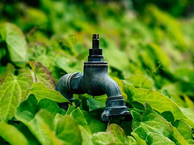 Global water scarcity demands immediate climate action